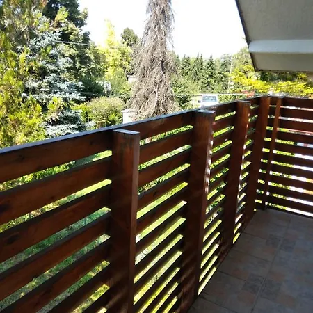 Belegis * Stari Banovci