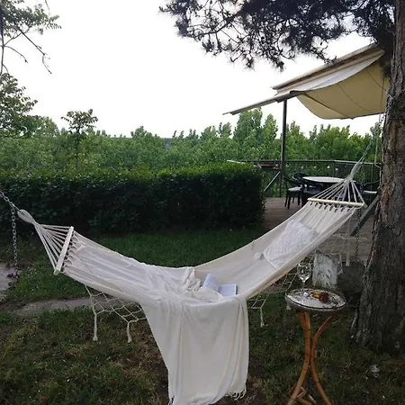 Belegis