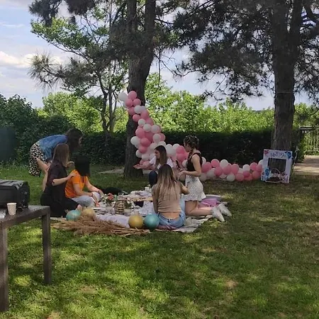 Villa Belegis Stari Banovci