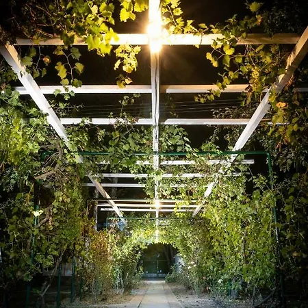 Belegis Stari Banovci