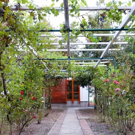 Belegis Villa *