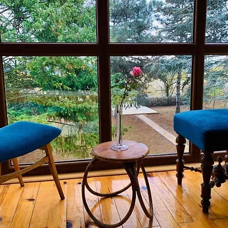Belegis Villa Stari Banovci